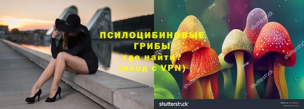 apvp Алексеевка