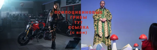 мескалин Алексин