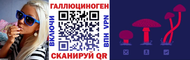 Псилоцибиновые грибы Psilocybine cubensis  Салават 